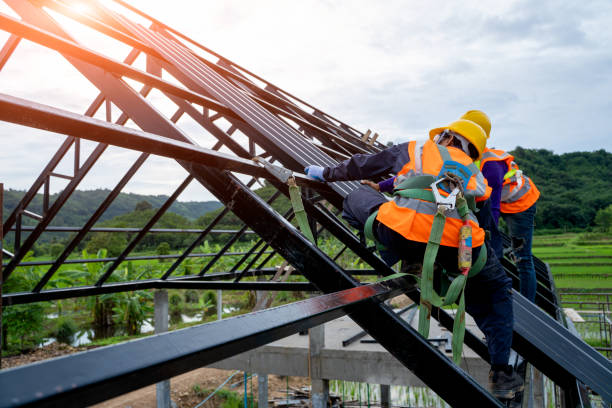 Best Commercial Roofing Services  in Daleville, IN