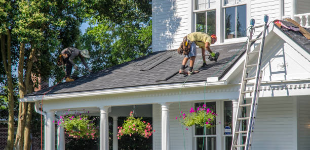 Best Residential Roofing Contractor  in Daleville, IN